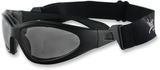 BOBSTER GXR Goggle/Sunglasses Matte Black with Smoke Lens, GXR001