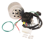 RICK'S MOTORSPORT ELECTRIC Charging Kit 14-99-111