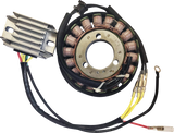 RICK'S MOTORSPORT ELECTRIC Charging Kit 99-200H
