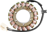 RICK'S MOTORSPORT ELECTRIC Stator, 2002-2013 FSC600 Silver Wing, Model 21-154