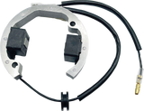 RICK'S MOTORSPORT ELECTRIC Stator, 2001–2023 Husqvarna/KTM, 21-0093