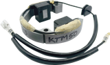 RICK'S MOTORSPORT ELECTRIC Stator, 2001–2023 Husqvarna/KTM, 21-0093
