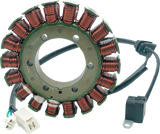 RICK'S MOTORSPORT ELECTRIC Stator, Wildcat, 21-067
