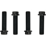 Hot Rods HR00089 Connecting Rod Kit for Polaris RZR 900