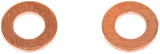 BOLT CPRM6.11-50 M6 x 12 mm Copper Compression Washers, 50-Pack