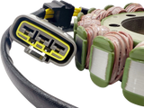 RICK'S MOTORSPORT ELECTRIC 2012–2015 CF Moto Stator 21-064