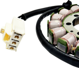 RICK'S MOTORSPORT ELECTRIC Stator 21-248 for 2019–2023 Ninja ZX-6R