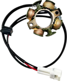 RICK'S MOTORSPORT ELECTRIC Stator, 21-0103