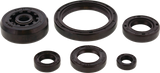 MOOSE OFFROAD Engine Oil Seal Kit, Yamaha, 822003MSE