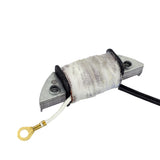 RM STATOR Stator Source Coil RMS210-108098 for Suzuki JR50