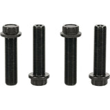 Hot Rods HR00089 Connecting Rod Kit for Polaris RZR 900
