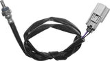 TwinPower 10-16 Touring O2 Sensor Front 484904