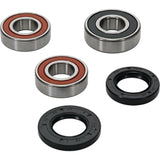 Pivot Works Premium Wheel Bearing Kit 25-1066-P for Suzuki DR-Z250 and DR350