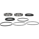 Pivot Works 25-1320-P Premium Wheel Bearing