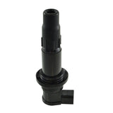 RM STATOR  Ignition Stick Cap Coil  RM06046