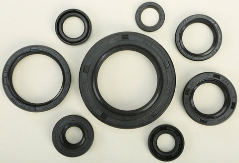 Oil Seal Set