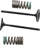 PROX Intake Valve and Spring Kit 28.SIS1340-2