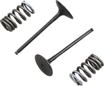 PROX Intake Valve and Spring Kit 28.SIS3338-2