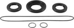 QBOSS DIFFERENTIAL SEAL KIT