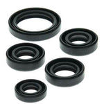QB OIL SEAL SET