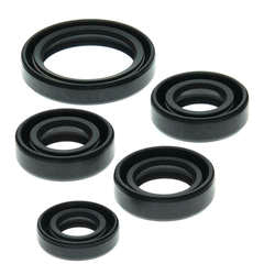 QB OIL SEAL SET