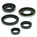 QB OIL SEAL SET