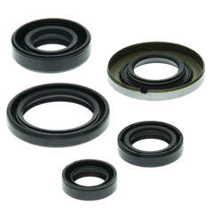 QB OIL SEAL SET