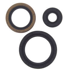 QB OIL SEAL SET