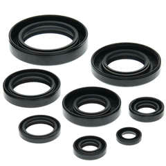 QB OIL SEAL SET