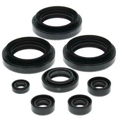 QB OIL SEAL SET