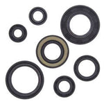 QB OIL SEAL SET