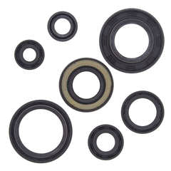 QB OIL SEAL SET