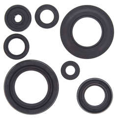 QB OIL SEAL SET
