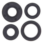 QB OIL SEAL SET