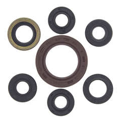 QB OIL SEAL SET