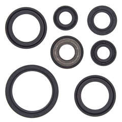 QB OIL SEAL SET