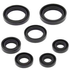 QB OIL SEAL SET