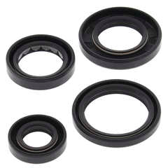 QB OIL SEAL SET