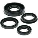 QB OIL SEAL SET