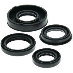 QB OIL SEAL SET