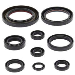 QB OIL SEAL SET