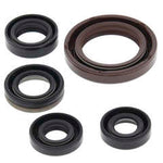QB OIL SEAL SET