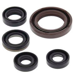 QB OIL SEAL SET