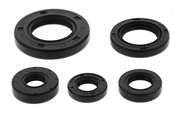 OIL SEAL SET