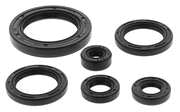 OIL SEAL SET