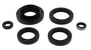 OIL SEAL SET