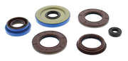 OIL SEAL SET