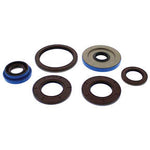 OIL SEAL SET