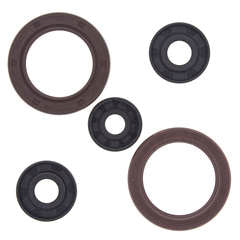 OIL SEAL SET