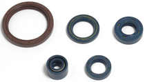 COMPLETE ENG OIL SEAL KIT